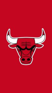 bull logo 2